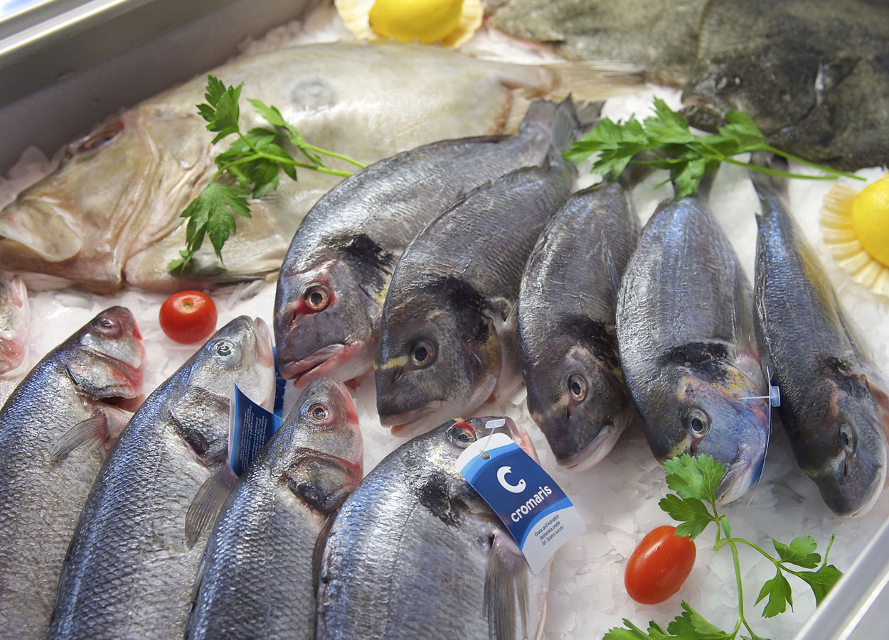 Fresh Adriatic fish