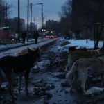 Featured image placeholder 16:9